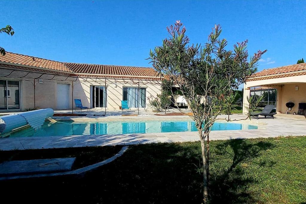 Villa 140 M² Hab. Avec Piscine Castres  Eksteriør bilde